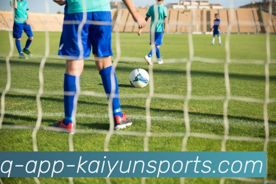 开云体育全站App